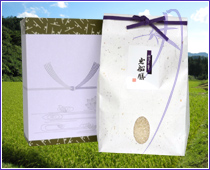 TԂE@̂Ԃ y_ጸ 2kgz