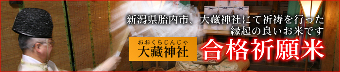 ���i�F���