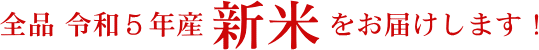 ߘa5NY VĂ͂܂