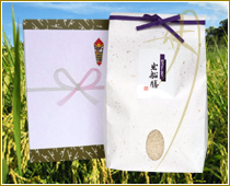 ���C�j�� ���y�_��ጸ�� 2kg�z