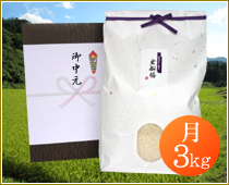 �������R�V�q�J�� ���y�_��ጸ�� 3kg�z