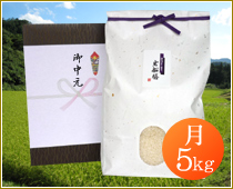 �������R�V�q�J�� ���y�_��ጸ�� 5kg�z