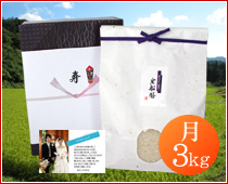 ������ �����o���̂��� ���y�_��ጸ�� 3kg�z